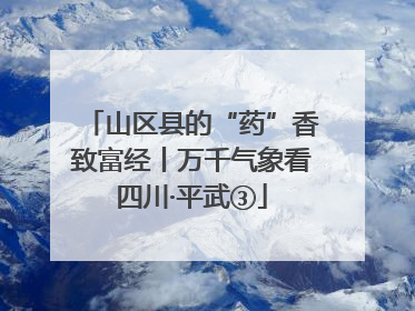 山区县的“药”香致富经丨万千气象看四川·平武③